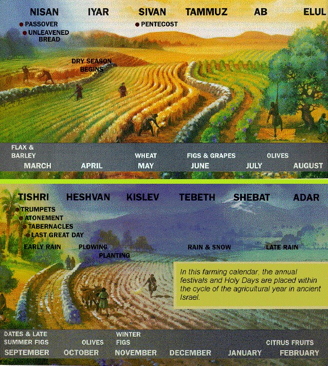 Holy Cycle FOS | Holy Days & Agriculture Cycle