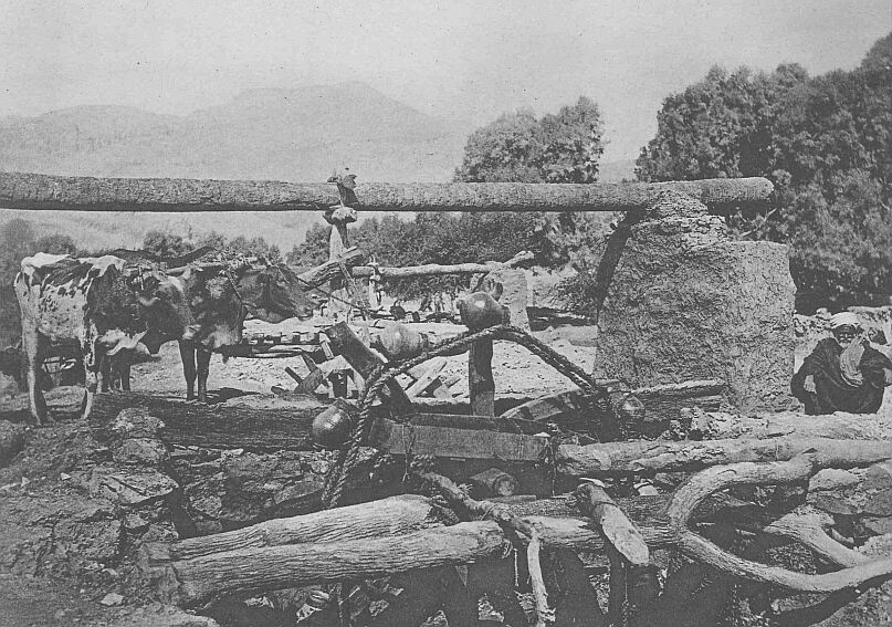 089.jpg an Egyptian Saki� (well) Showing Method Of
Procuring Water for Irrigation. 
